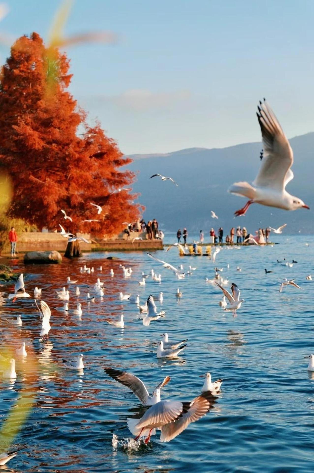 Dali Nest Secret Garden Lake View Inn Dış mekan fotoğraf