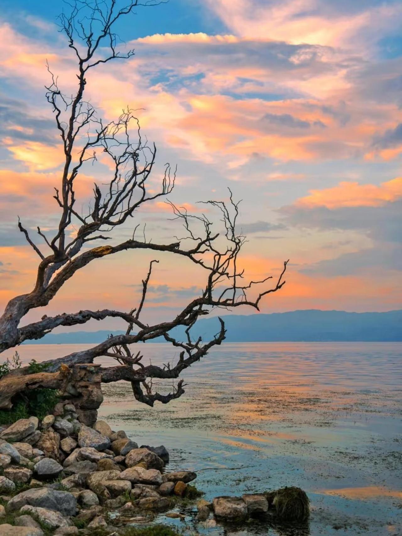 Dali Nest Secret Garden Lake View Inn Dış mekan fotoğraf