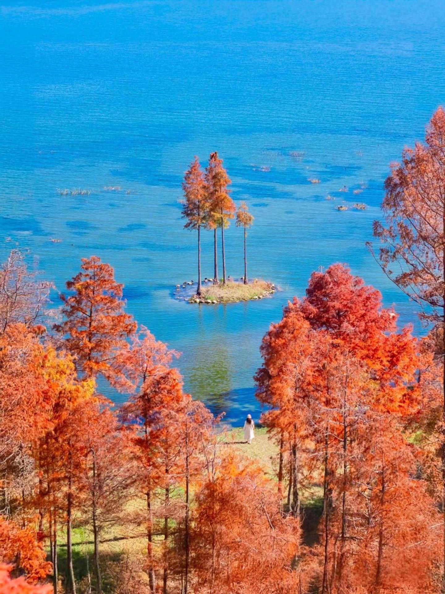 Dali Nest Secret Garden Lake View Inn Dış mekan fotoğraf